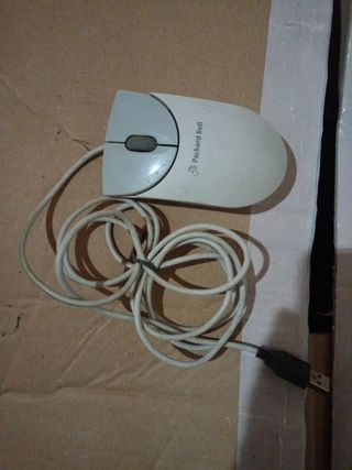 Mouse