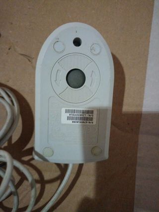 Mouse
