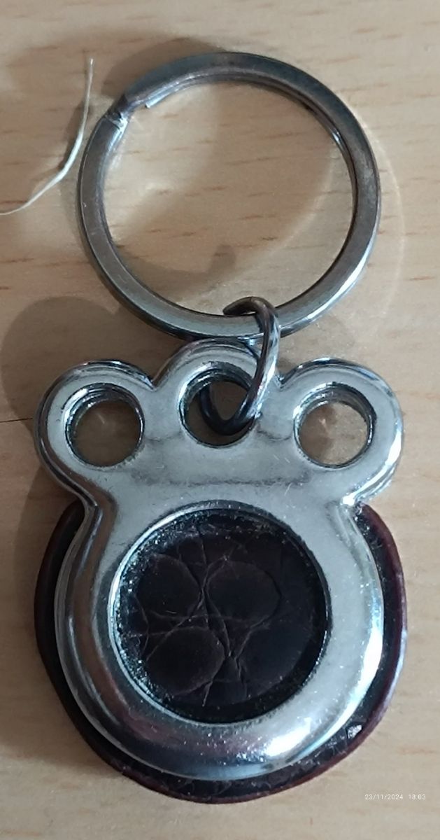 Llavero de huella de mascota 