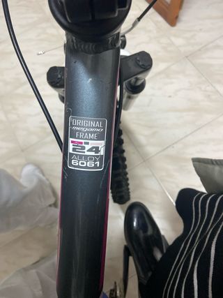 Bicicleta