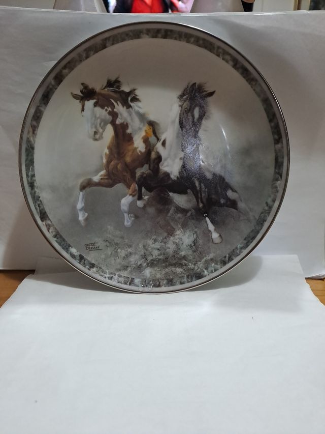 Piatto  limite edition