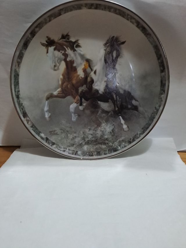 Piatto  limite edition