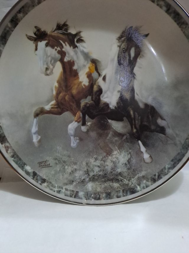 Piatto  limite edition