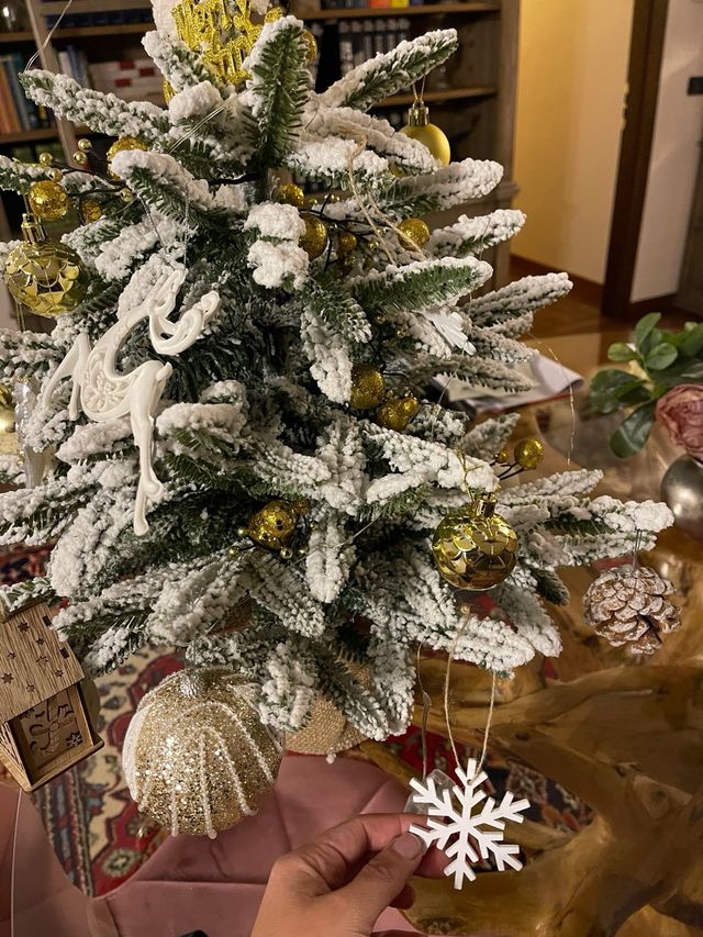 Albero con decorazioni
