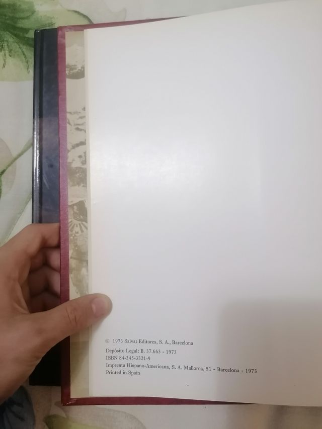 El rostro humano en el arte