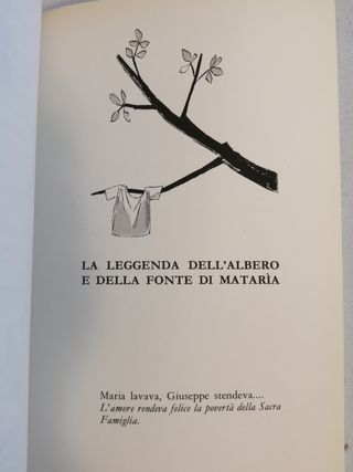4 libri la bibbia grandi piccoli novelle di Gesù