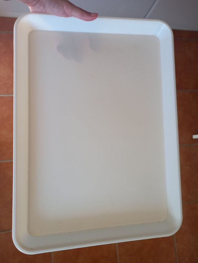 Bandeja de plástico blanca