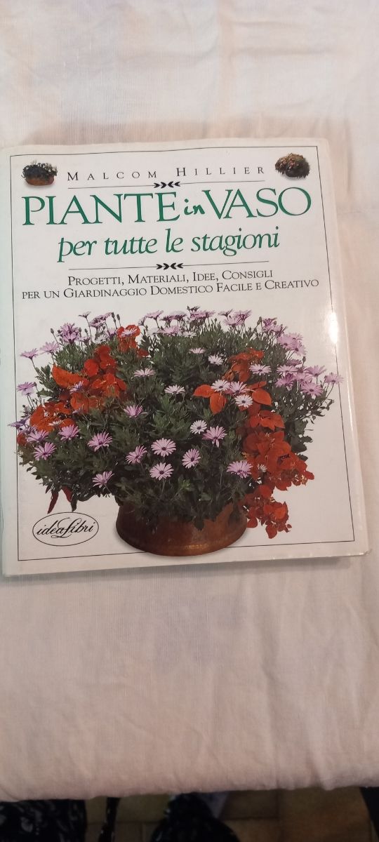 Piante in vaso per tutte le stagioni 