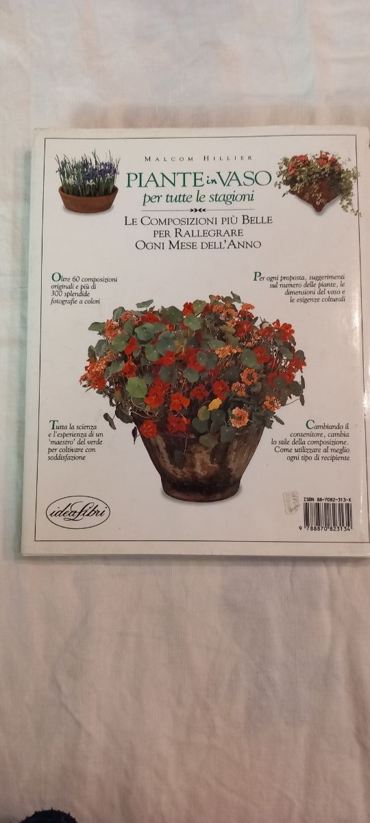 Piante in vaso per tutte le stagioni 