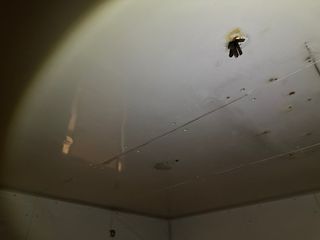 CABINA FRIGORIFICA INDUSTRIAL