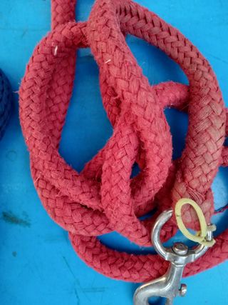 Lunghina per cavallo