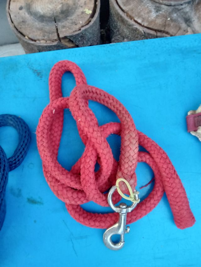 Lunghina per cavallo