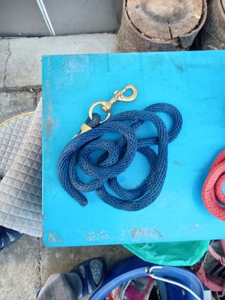 Lunghina per cavallo blu