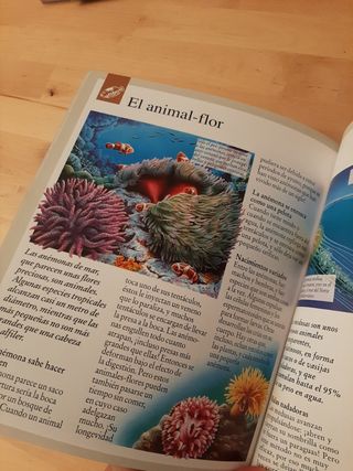 El mar/ The Ocean: Universo fantastico/ Fantastic Universe (Imagen descubierta del mundo/ Discovered Images of the World) (Spanish Edition)