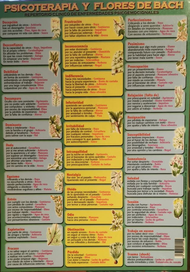 Lámina Psicoterapia y Flores de Bach