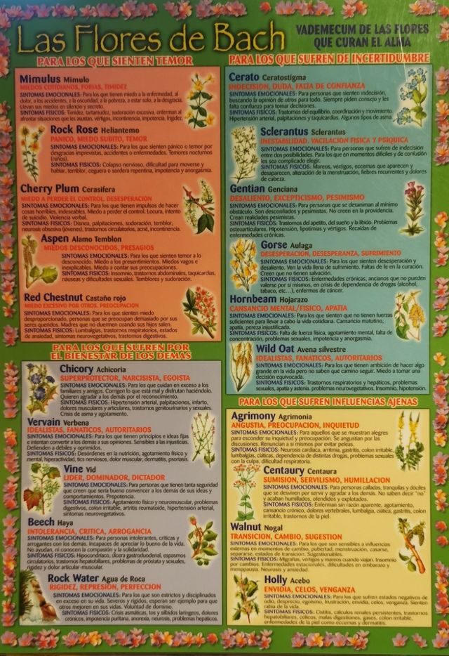 Lámina vademécum Flores de Bach