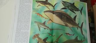 Enciclopedia Juvenil de la Naturaleza