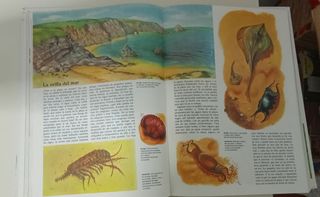 Enciclopedia Juvenil de la Naturaleza