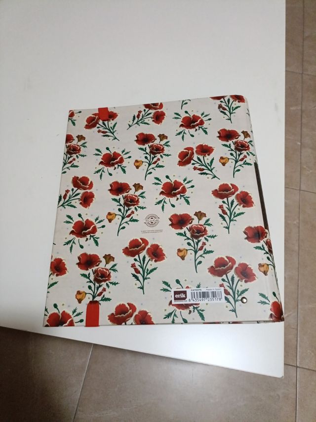 Archivador de Frida Kahlo