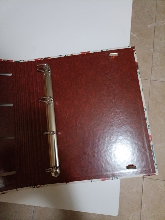 Archivador de Frida Kahlo