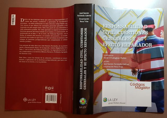 Resp. Civil. Cuest. genrls y su efecto reparador
