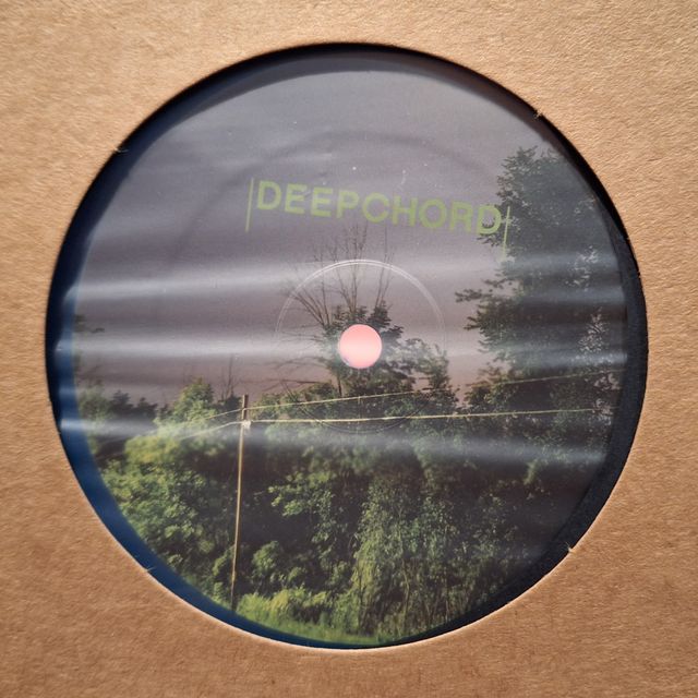 Lote 3 vinilos 12" de música electrónica variada
