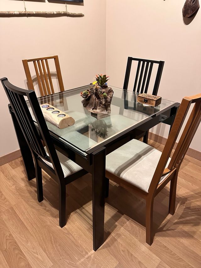 Mesa salon + 4 sillas