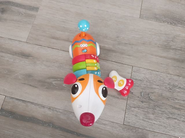 Perrito teleridigido