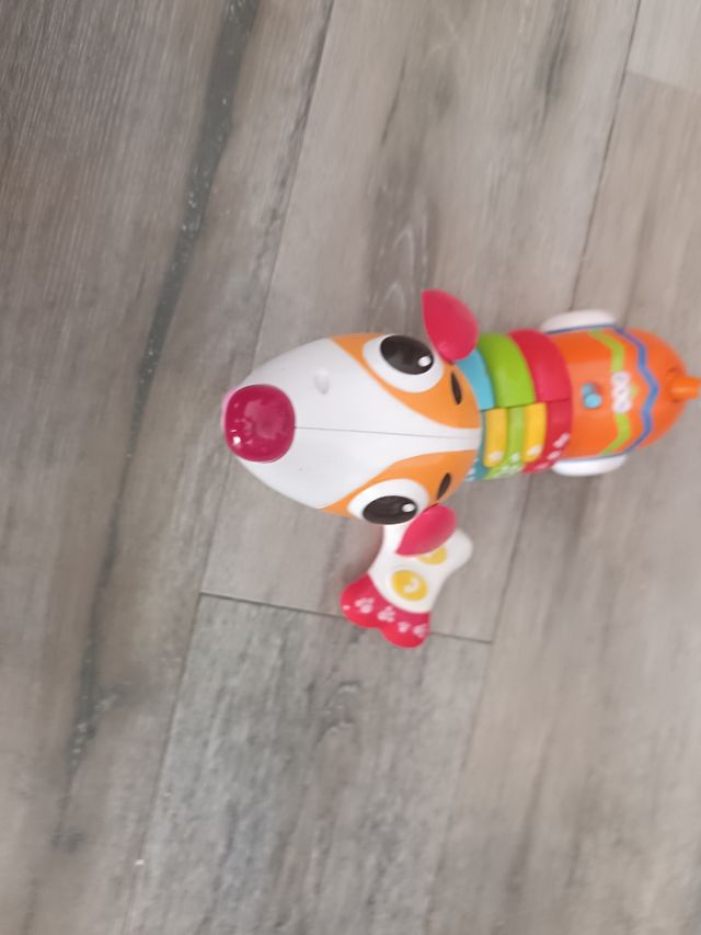 Perrito teleridigido