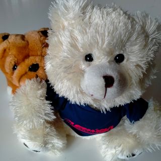 Set n. 2 peluches 