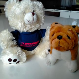 Set n. 2 peluches 