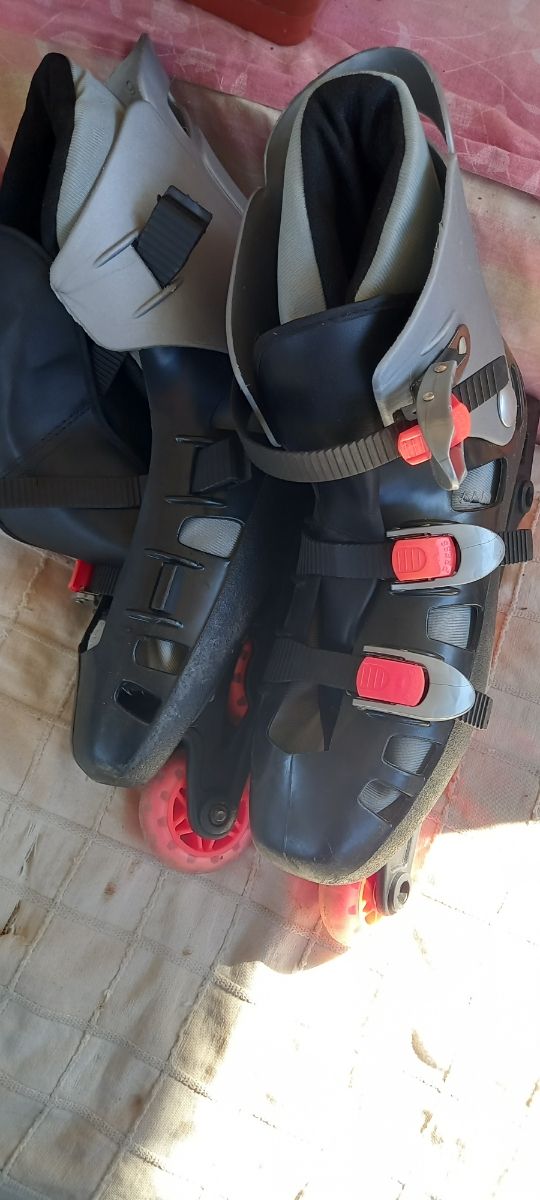 Pattini a rotelle 42