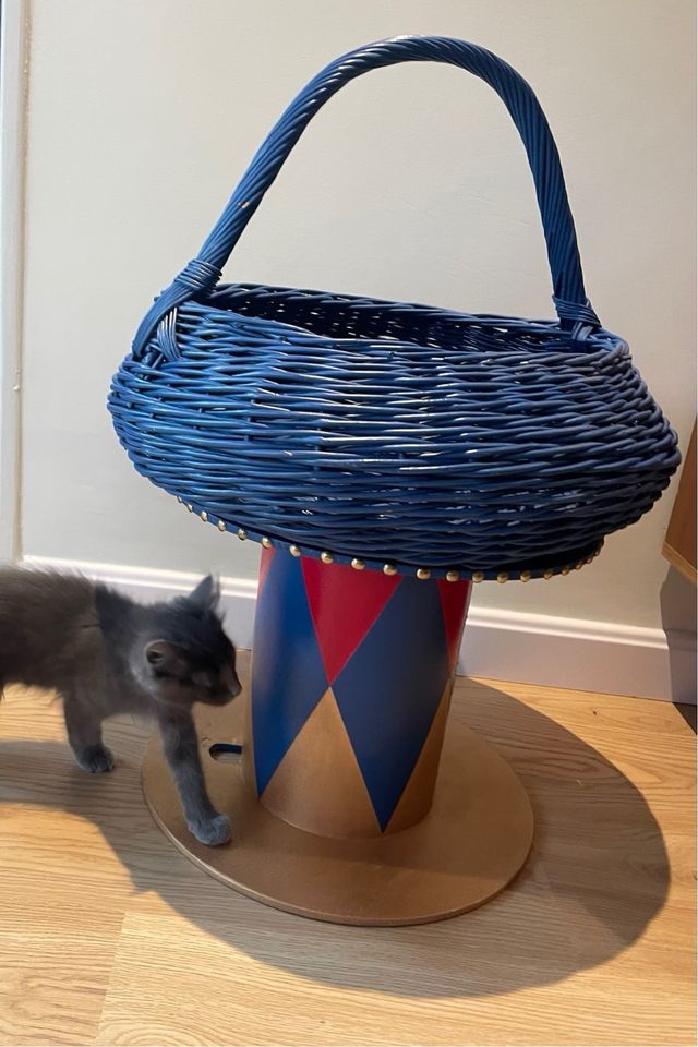 Cesta de MIMBRE azul