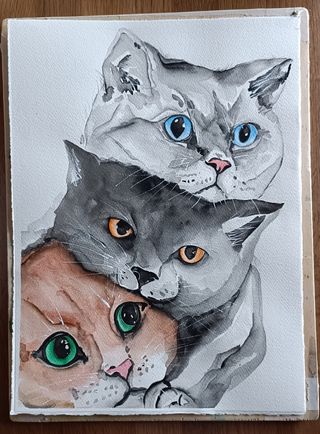 Acquerello acquarello gatti gatto