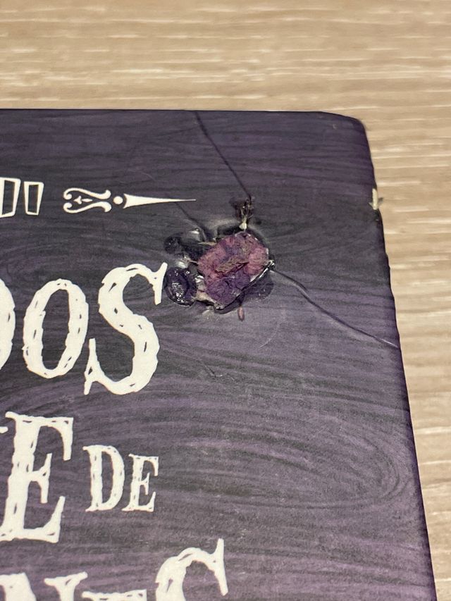 ATRAPADOS EN EL PARQUE DE ATRACCIONES