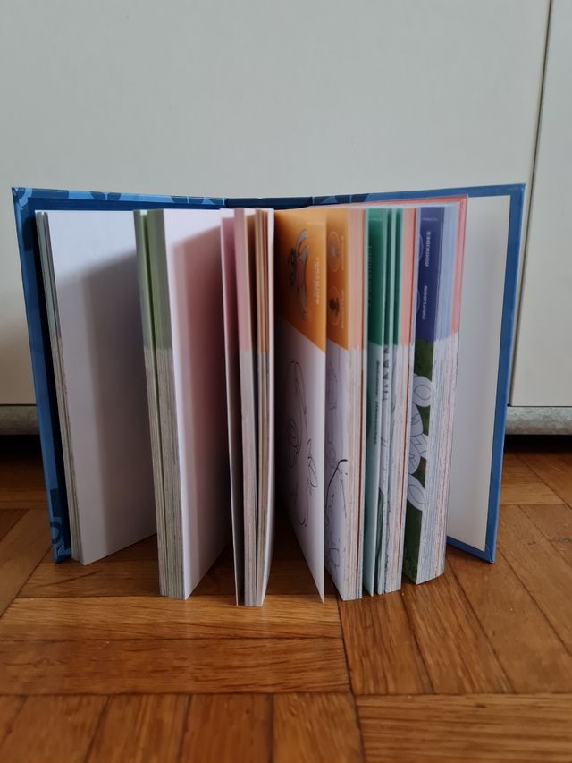 Calendario pokemon 2024