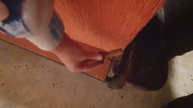 Sofá cama y dos butacas a juego todo 15€