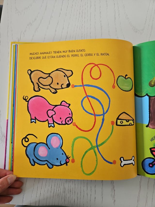 Los 5 sentidos de Nacho