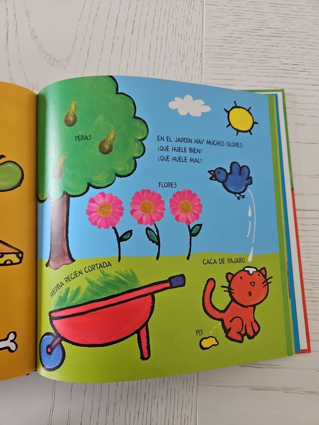 Los 5 sentidos de Nacho