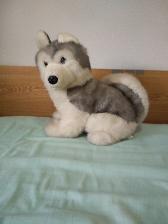 Se venden 2 peluches husqui