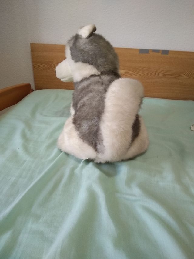 Se venden 2 peluches husqui