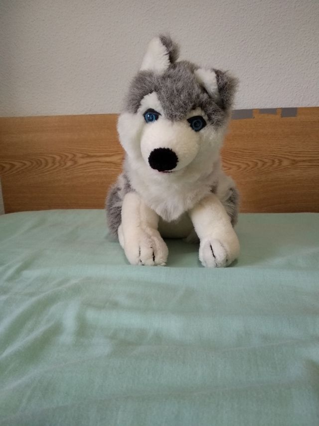 Se venden 2 peluches husqui