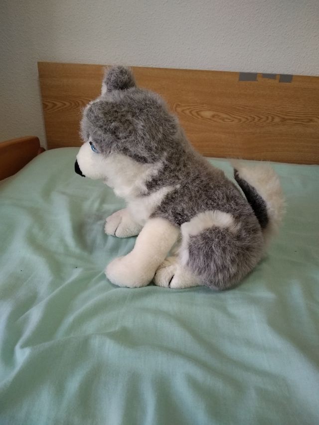 Se venden 2 peluches husqui