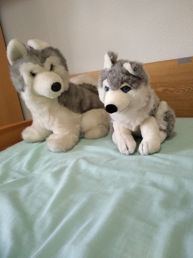 Se venden 2 peluches husqui