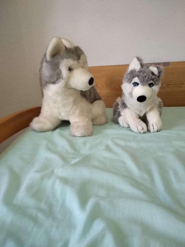 Se venden 2 peluches husqui