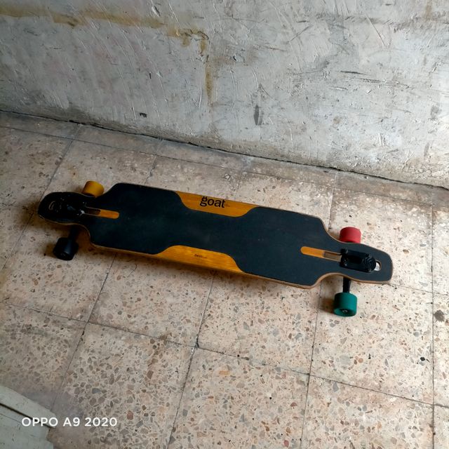 Longboards goat