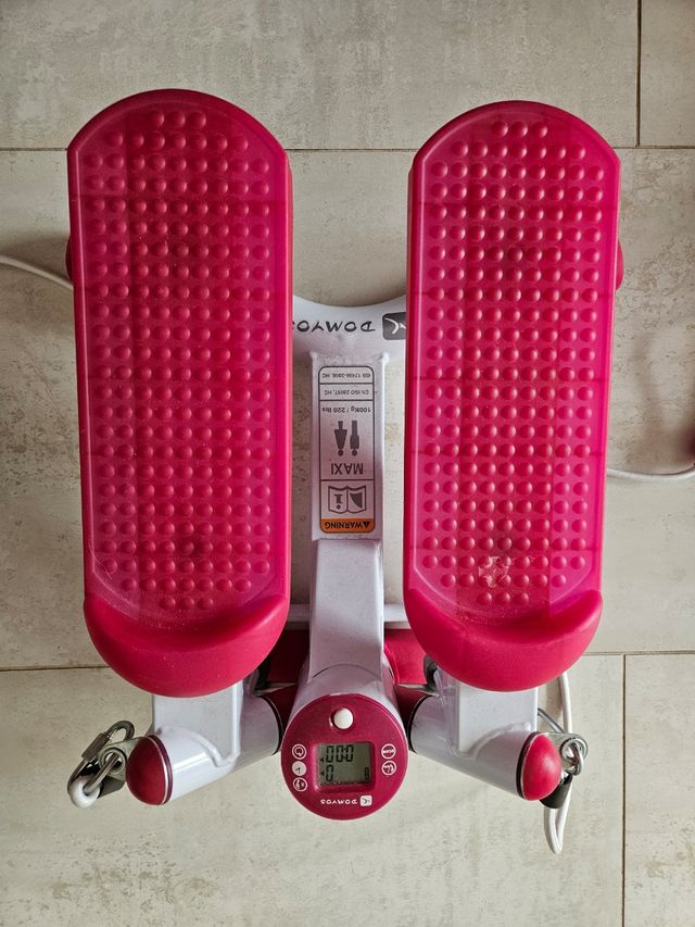 Step Fitness con maniglie