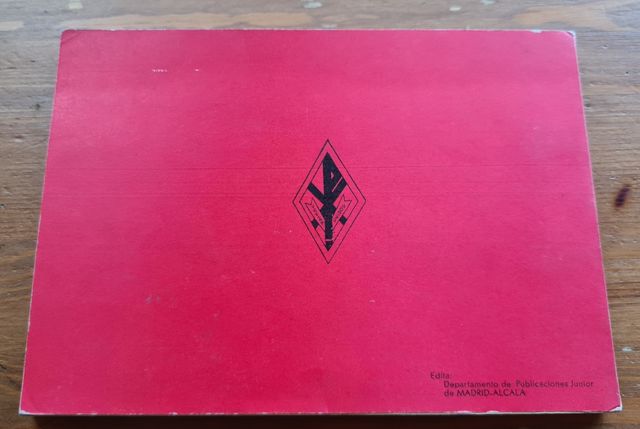 Manual júnior del acampado