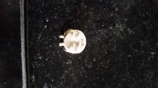 Original Pandora Angel. Pieza pulsera