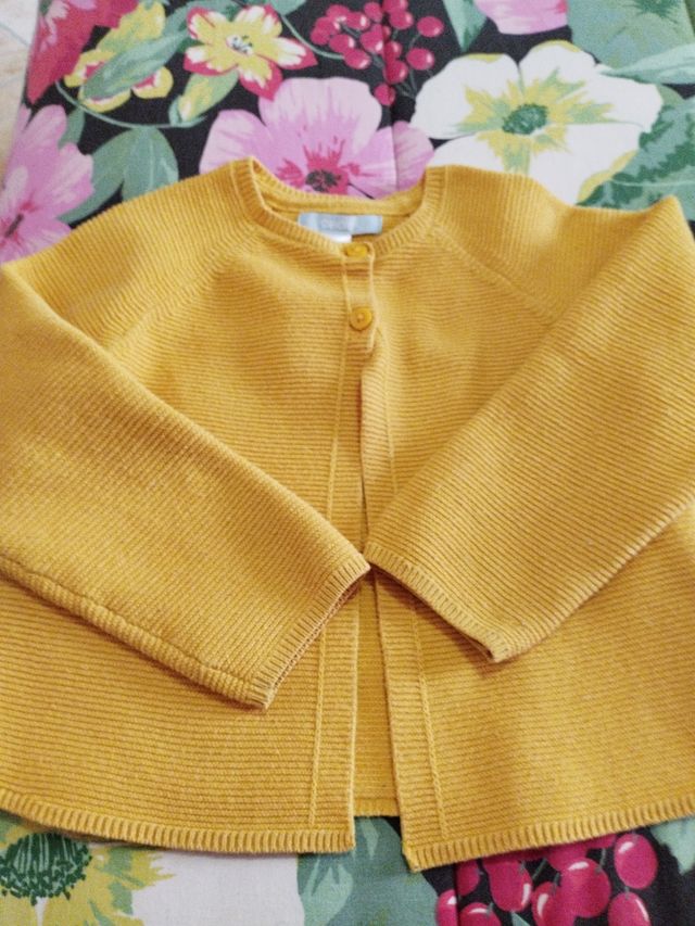 Taglia giallo Obaibi 23 mesi 